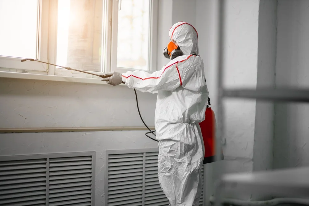 Professional mold remediation services in Westby, WI